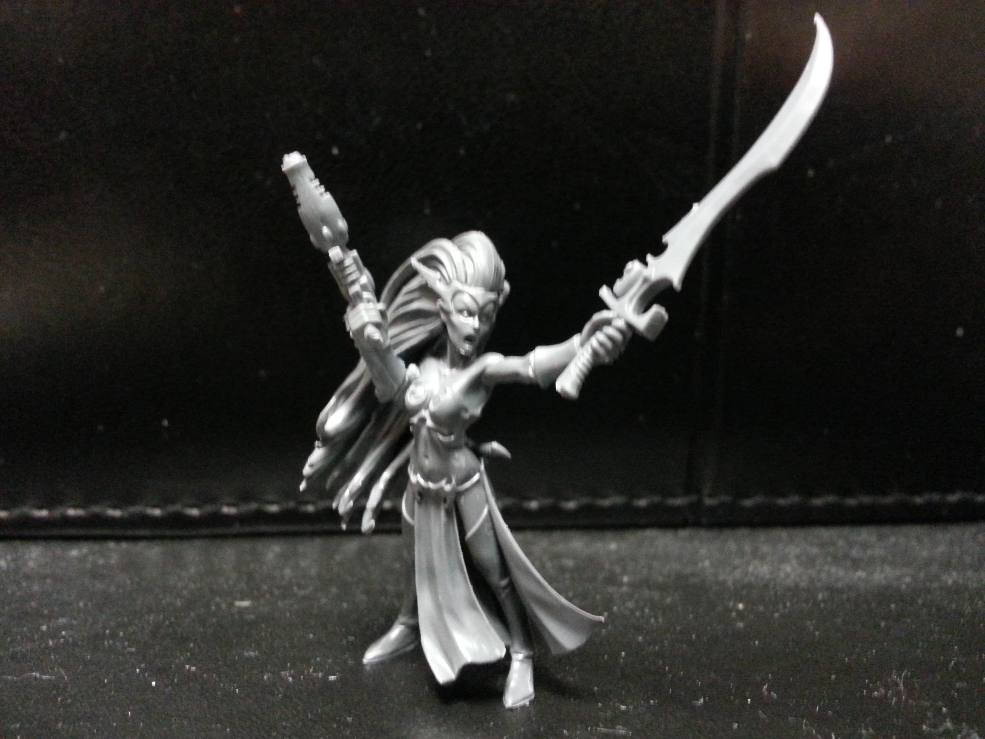 Dark Eldar Duke Sliscus Gallery Dakkadakka 8923